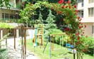 Children corner