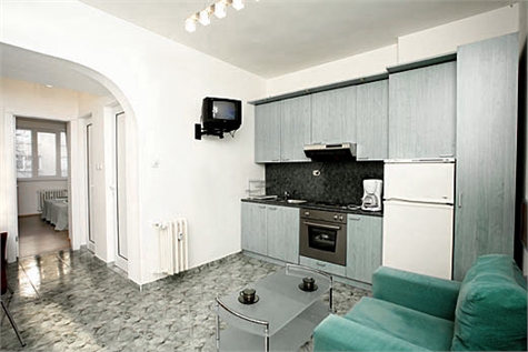 Skobelev apartment - kitchen