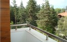 Balcony view » Pine Trees