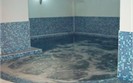 Indoor Pool » Pine Trees