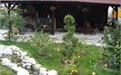 Outdoor garden - Sunrise Hotel