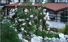 Summer garden - Sunrise SPA Hotel