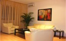 Vitosha apartment - Living room