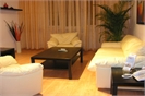 Vitosha apartment