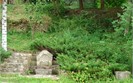 Garden - Markov Guest house