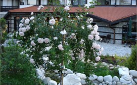 Summer garden - Sunrise SPA Hotel