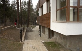 The Garden » Pine Trees