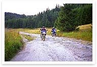 Custom motorcycle tours