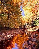 Autumn in Bulgaria