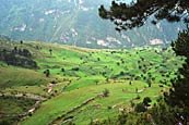 Rhodope mountains near village of Trigrad.
