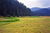 Sredna Gora mountain