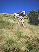 Hiking