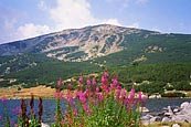 Pirin mountains