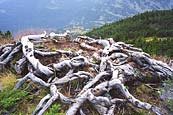 Pirin mountains