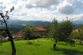 Boriki hotels