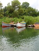 Kamchia river property for sale in Bulgaria
