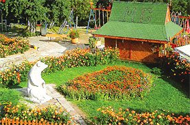 Momchilgrad hotels