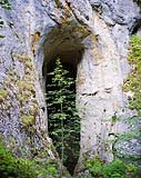 Rhodope mountains