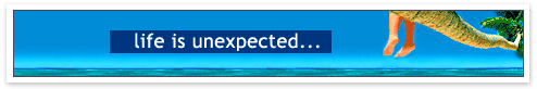 Online Travel Insurance