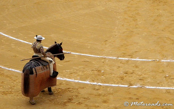 Bull-Fighting in Valencia 