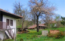 Elena in Spring
