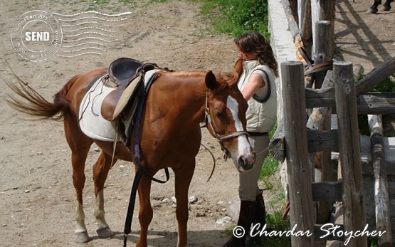 Horseback riding tours in Bulgaria