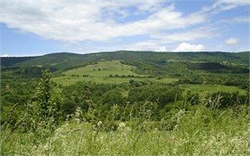 Landscape, Town of Troyan