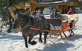 Pamporovo hotels - ski holidays