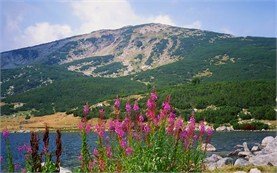 Pirin mountain - Lake Bezbog
