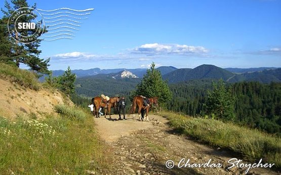 Родопы - самая красивая гора в Болгарии