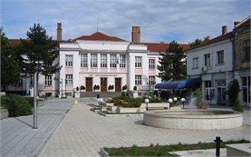 School in Vidin