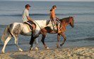 Albena Horseriding