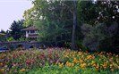 Balchik Botanical Garden