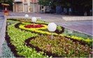 Flowers, Velingrad