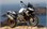 BMW R 1250 GS ADV - rent a motorbike in Alicante