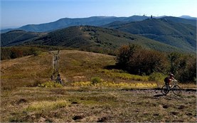 Bicycle tour