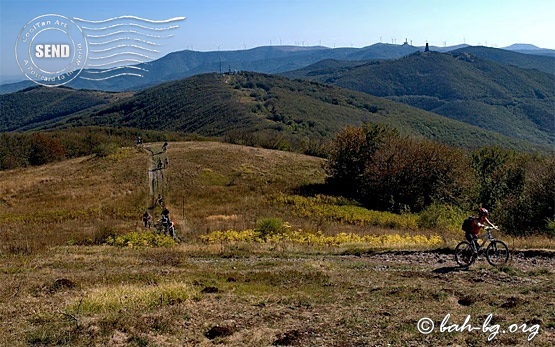 Bicycle tour