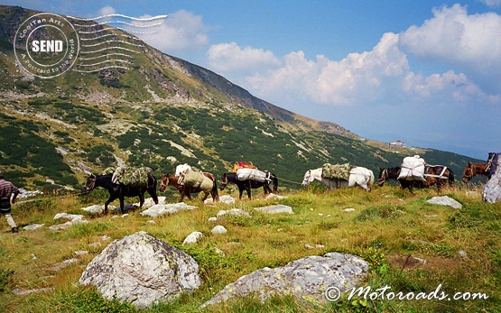 Конна езда в България