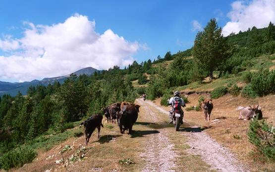 Ruta en moto por las montañas búlgaras