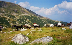 Montar a caballo en Rhodopes