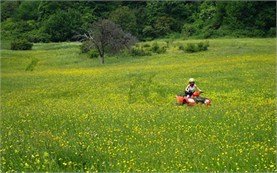 ATV ride in Vitosha mountain - Sofia