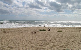 Beach near St Tomas resort