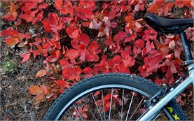 Bicycle touring in Bulgaria