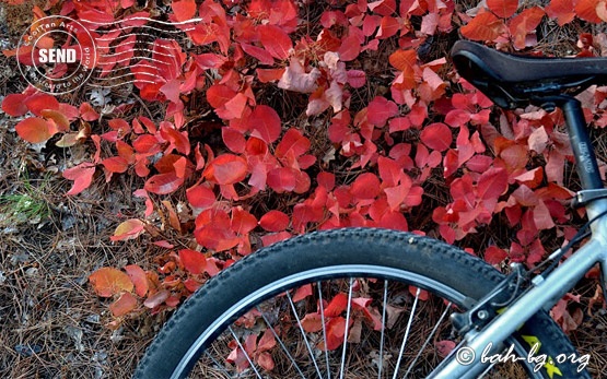 Bicycle touring in Bulgaria