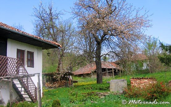 Elena in Spring