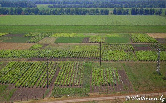 Field Near Kardam