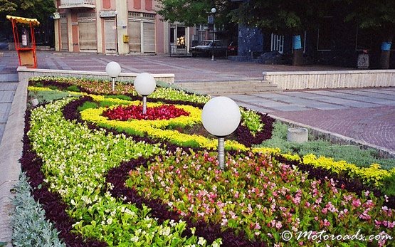 Flowers, Velingrad