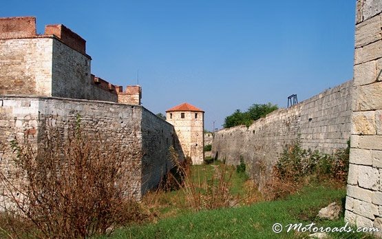 Vidin Forest