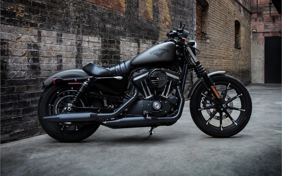 Harley Davidson Sportster Iron 883 - rent a motorbike in Split