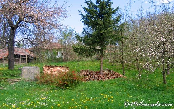 Garten, Stadt Elena